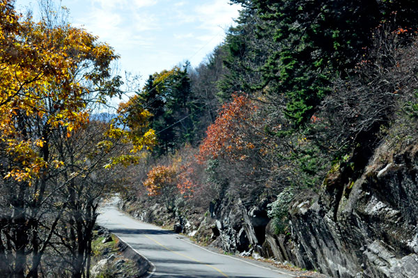 curvy road down Grandfather Mountain